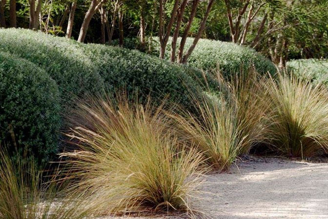 Fiona Brockhoff Design Coast Country Landscape Fiona Brockhoff Design Coast Country Landscape